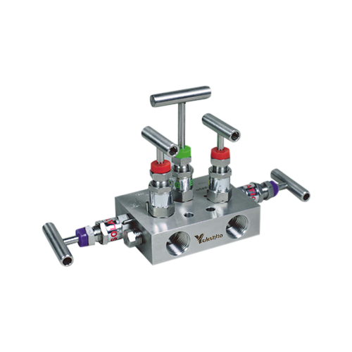 Five-Valve-Manifold-Remote-Mount