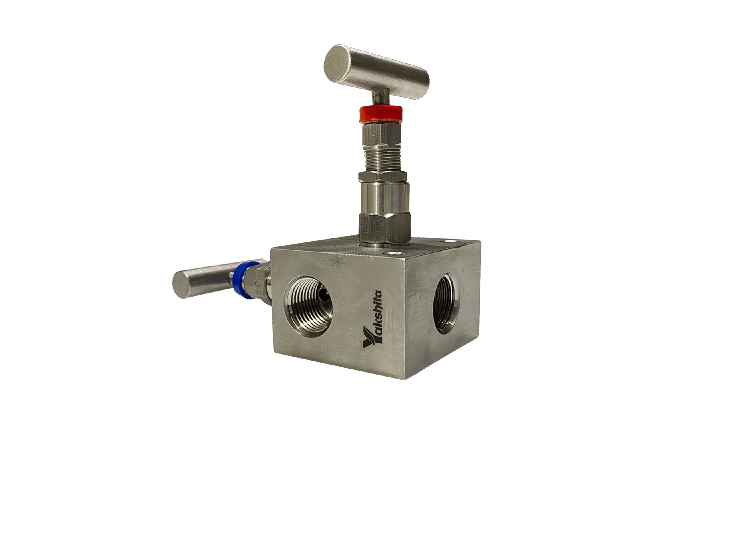 Manifold Valves Manufacturer