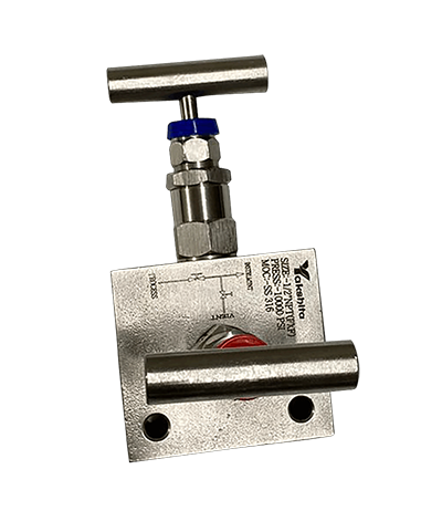 Two Valve Manifold Remote Mount Pipe intp Pipe scaled manufacturer